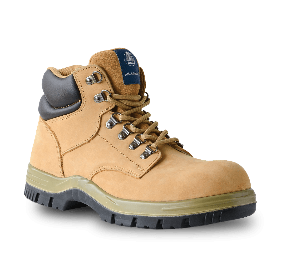 titan safety shoes