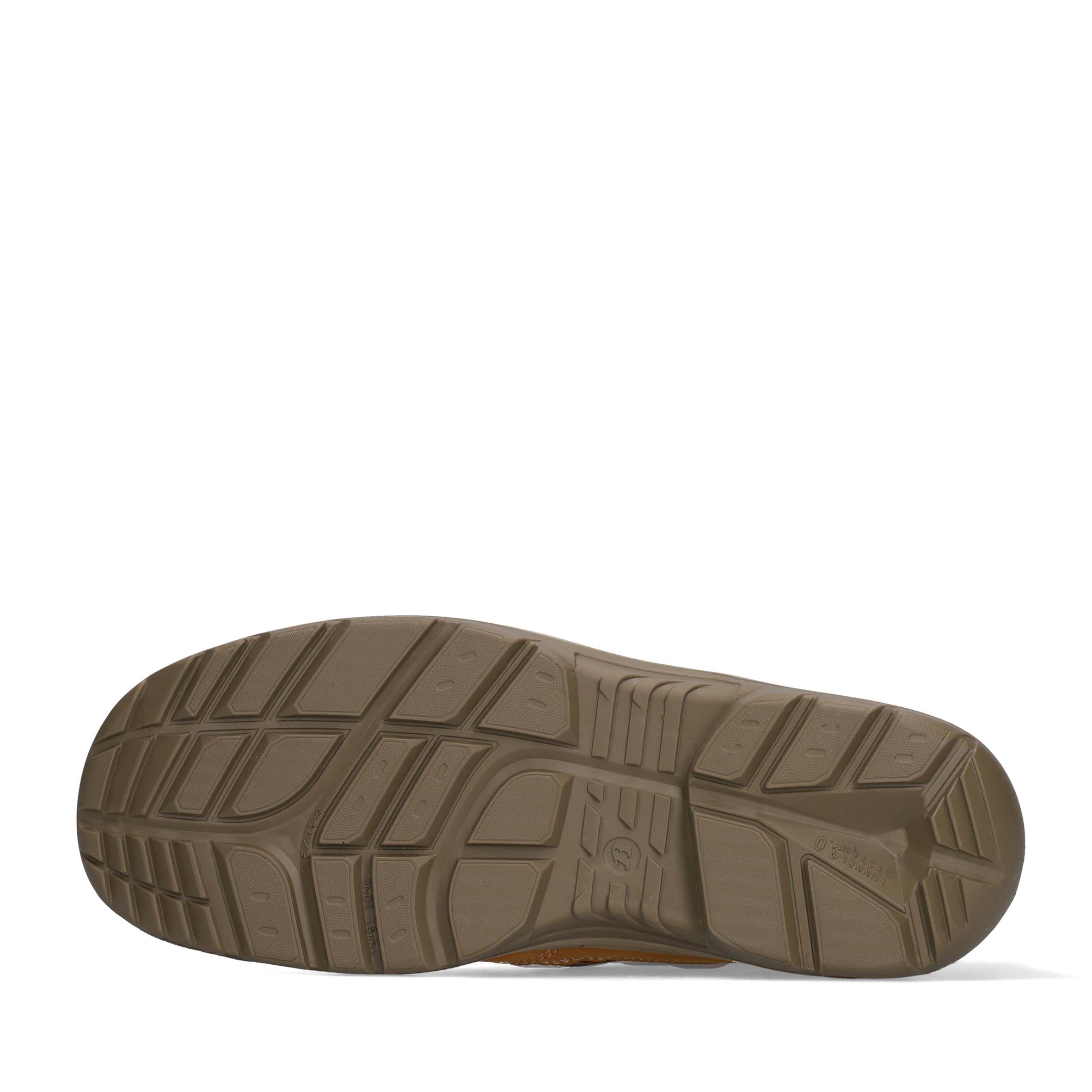 Zippy Wheat - Image 10